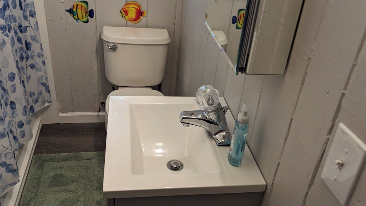 Photo of Bathroom in Nokomis
