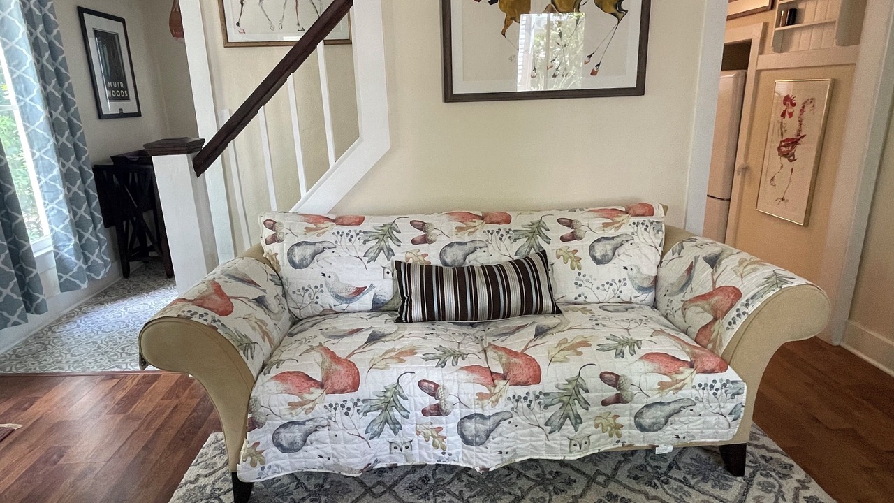 Photo of Livingroom in DeLand