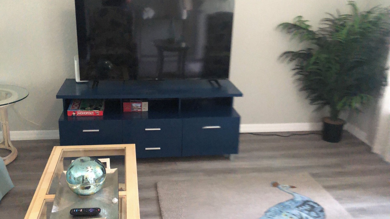 Photo of Livingroom in Dunnellon