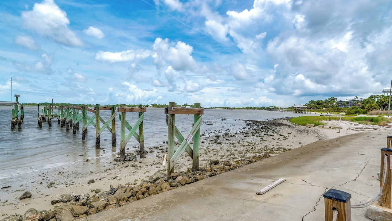 Photo of Others in Cedar Key