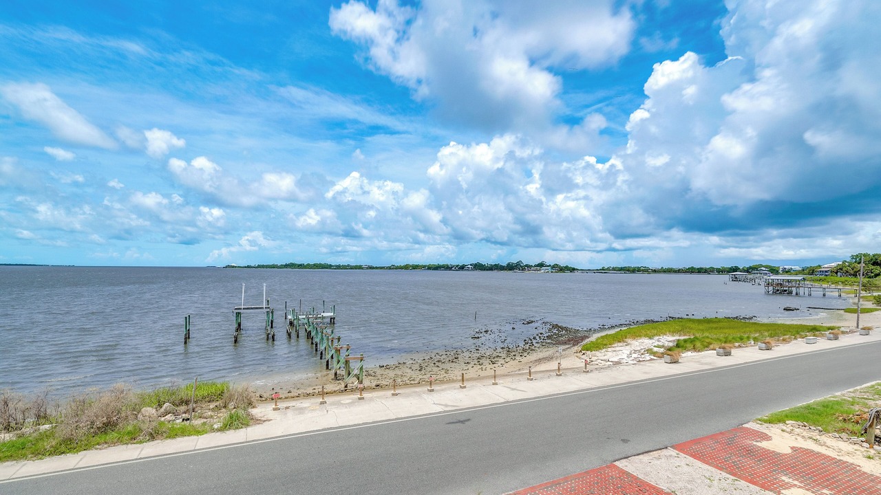 Photo of Others in Cedar Key