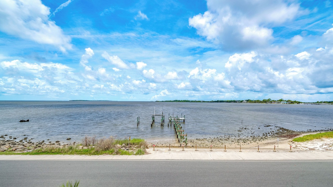 Photo of Others in Cedar Key