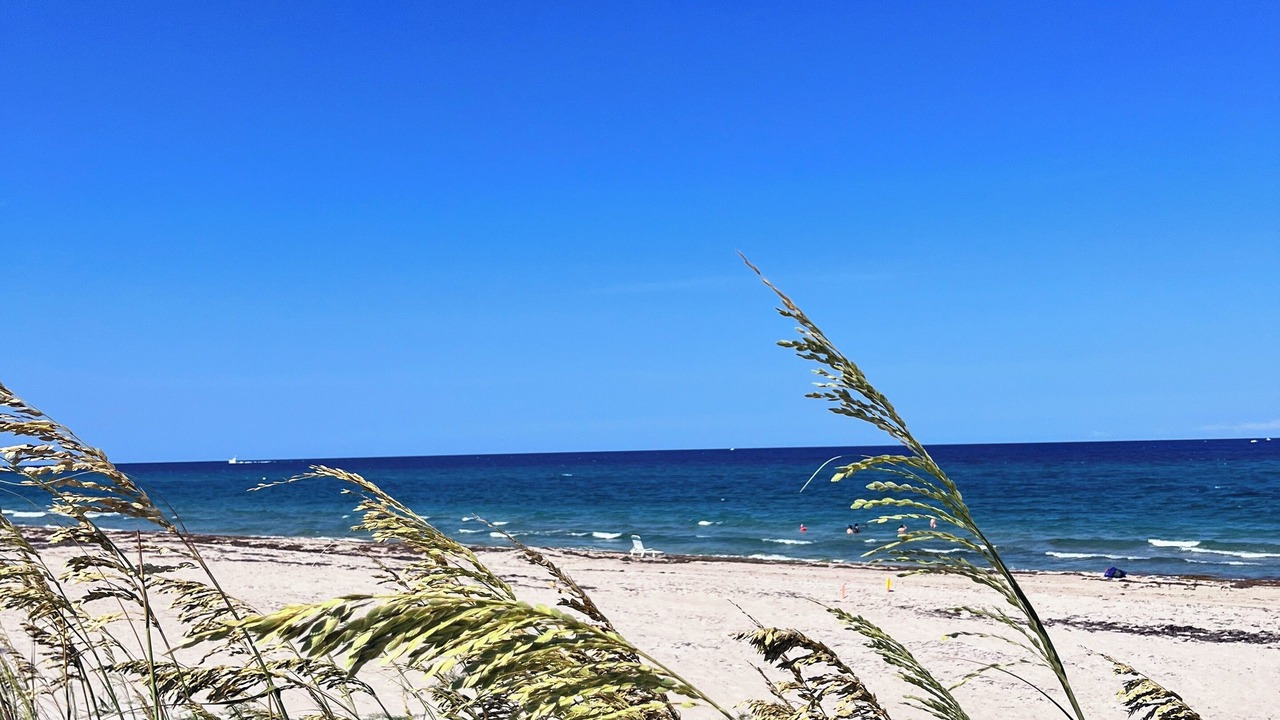 Photo of Others in Ocean Ridge