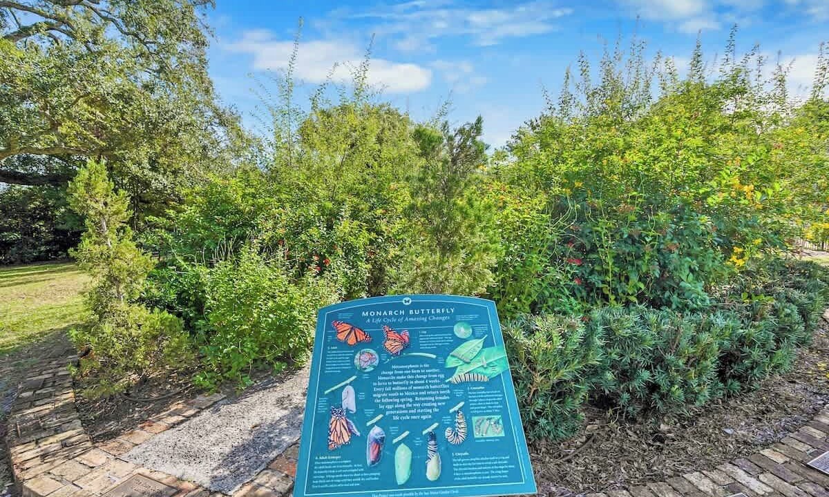 Photo of Outdoor in San Marco