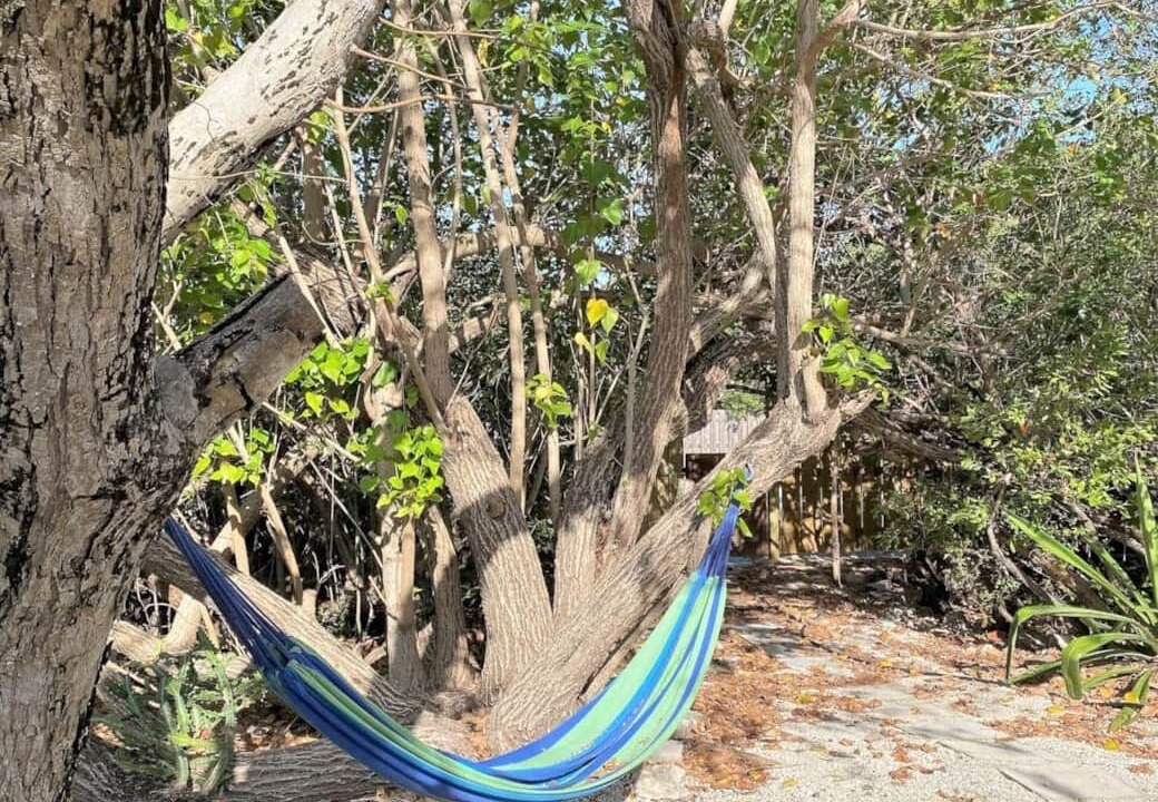Photo of Outdoor in Little Torch Key