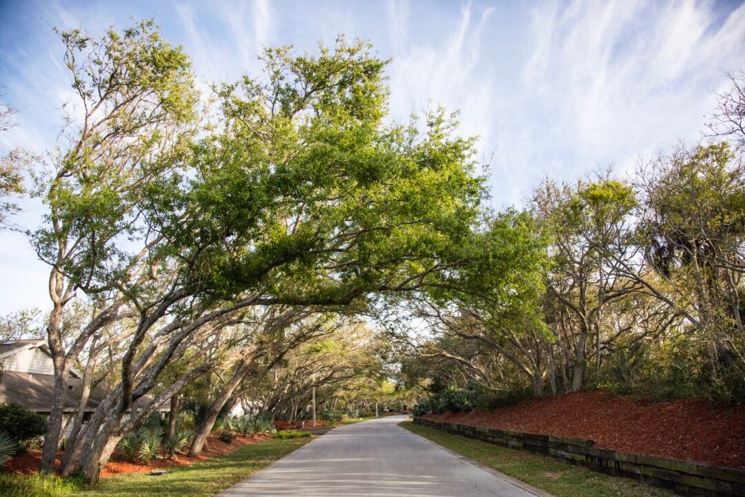 Photo of Outdoor in New Smyrna Beach