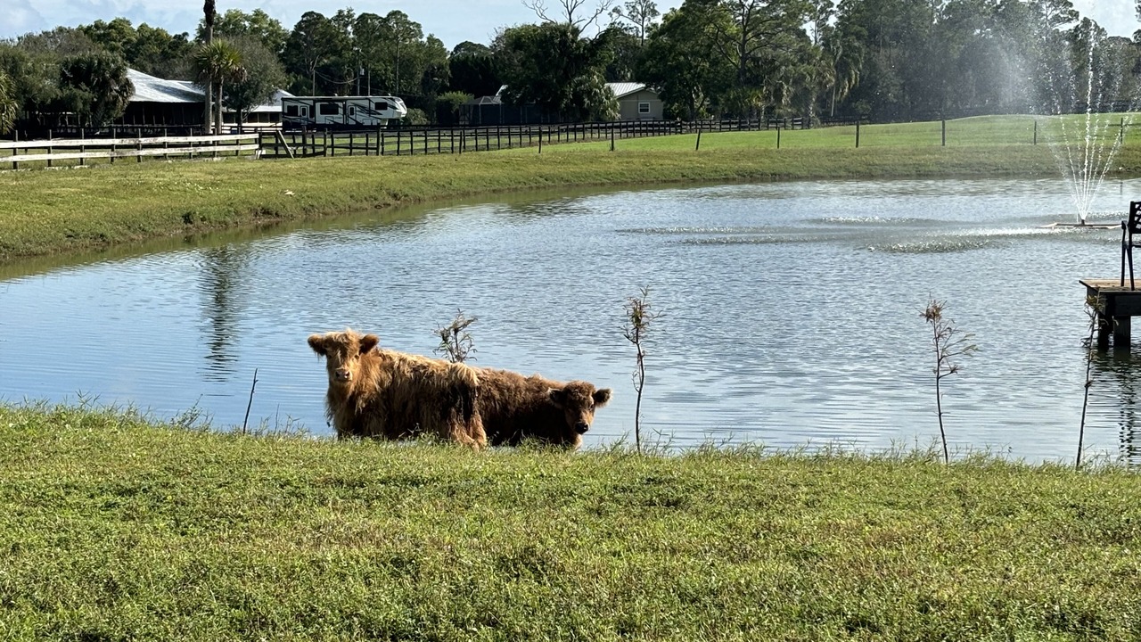 Photo of Others in Palm City