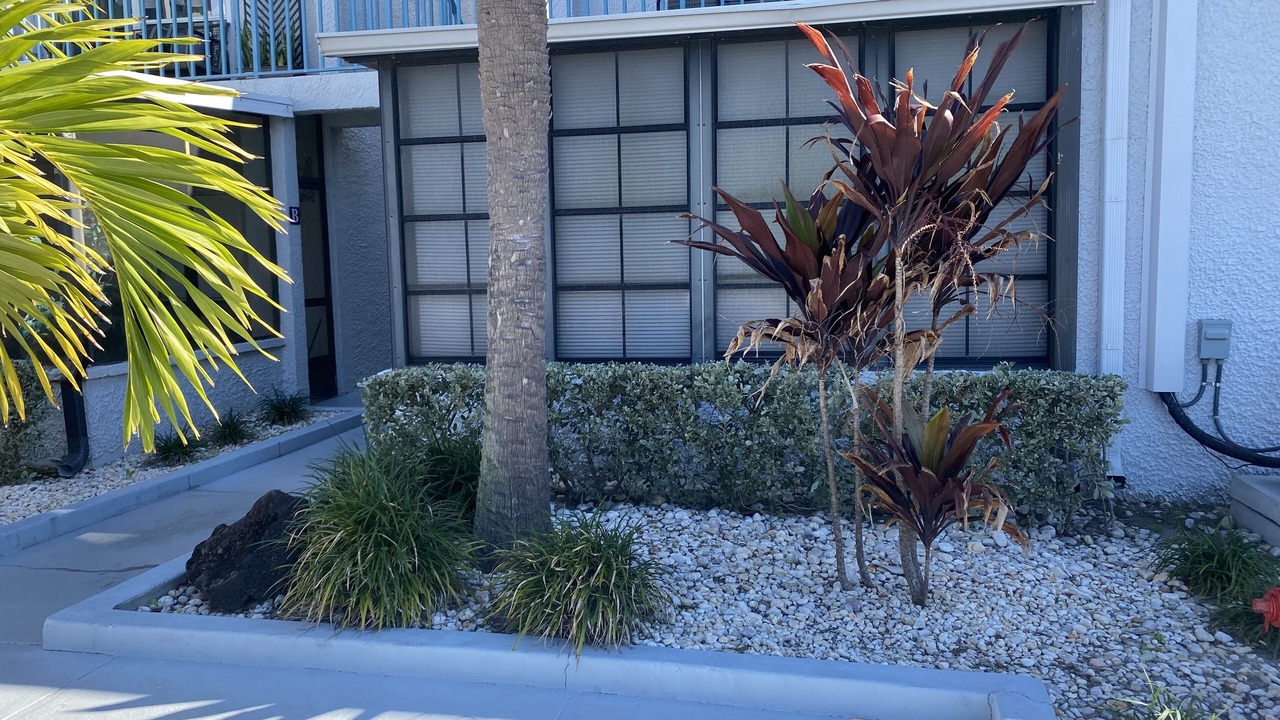 Photo of Outdoor in Madeira Beach