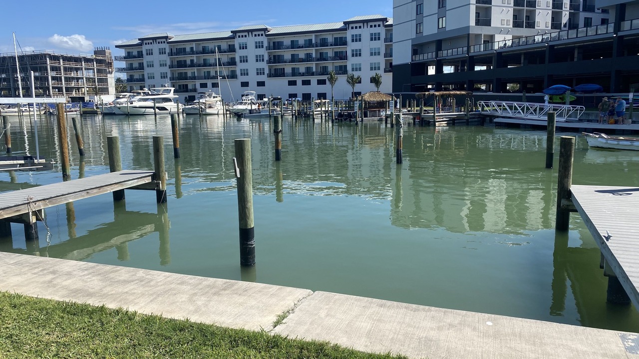 Photo of Others in Madeira Beach