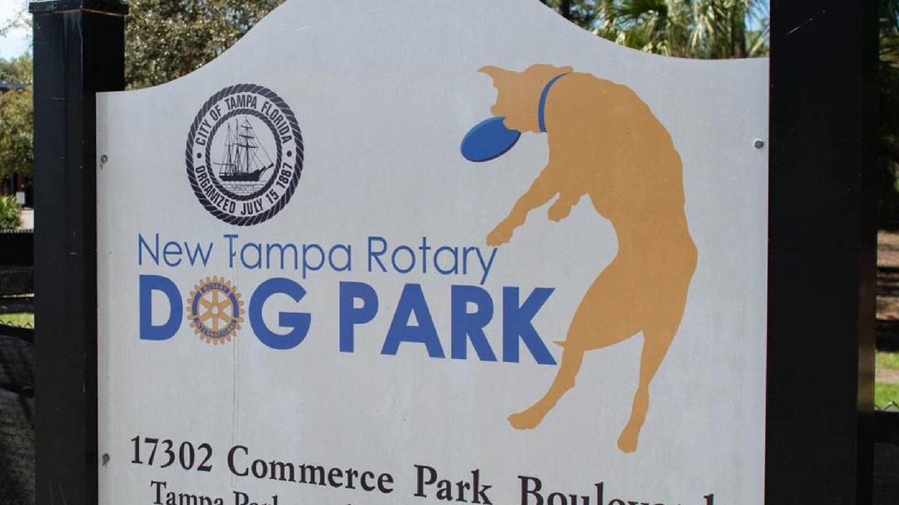 Photo of Others in New Tampa