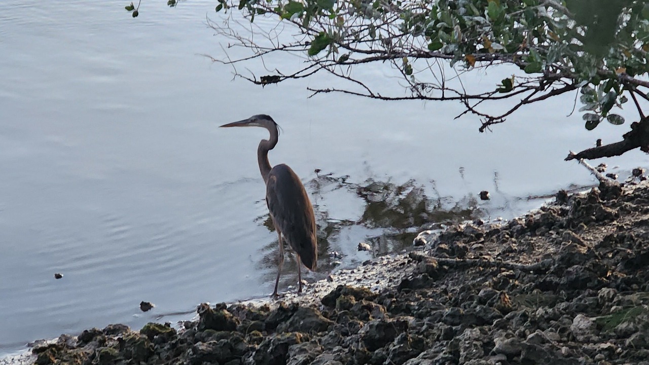 Photo of Others in Hudson