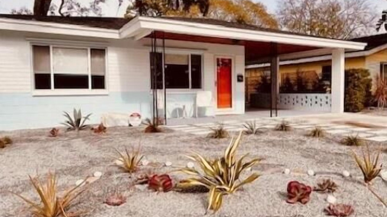 Photo of Outdoor in New Port Richey