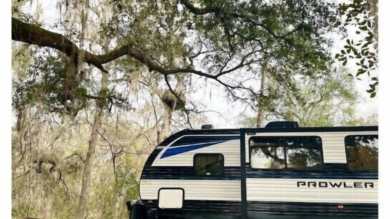 Photo of Outdoor in Fort White