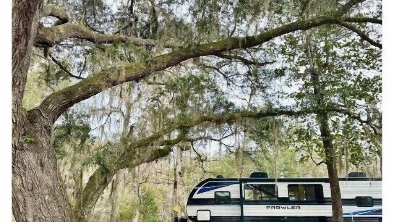 Photo of Others in Fort White