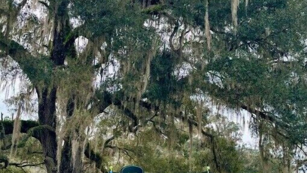Photo of Outdoor in Fort White