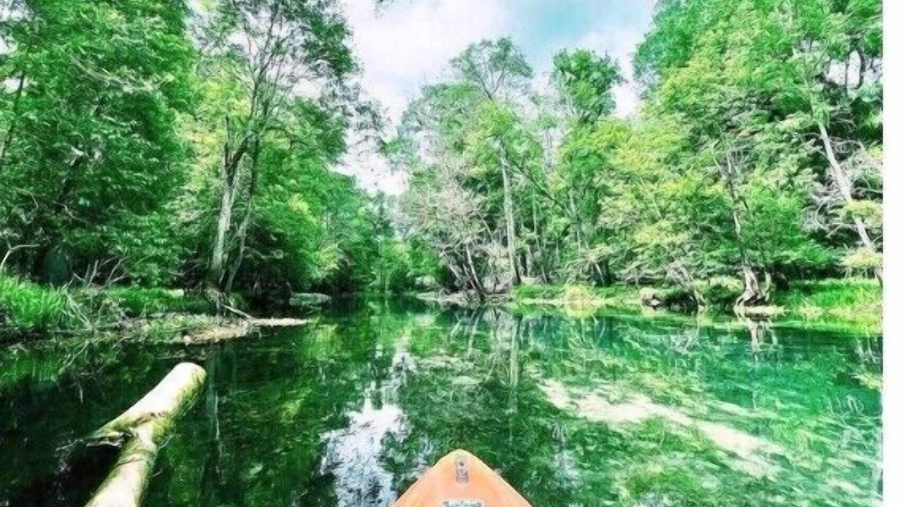 Photo of Outdoor in Fort White