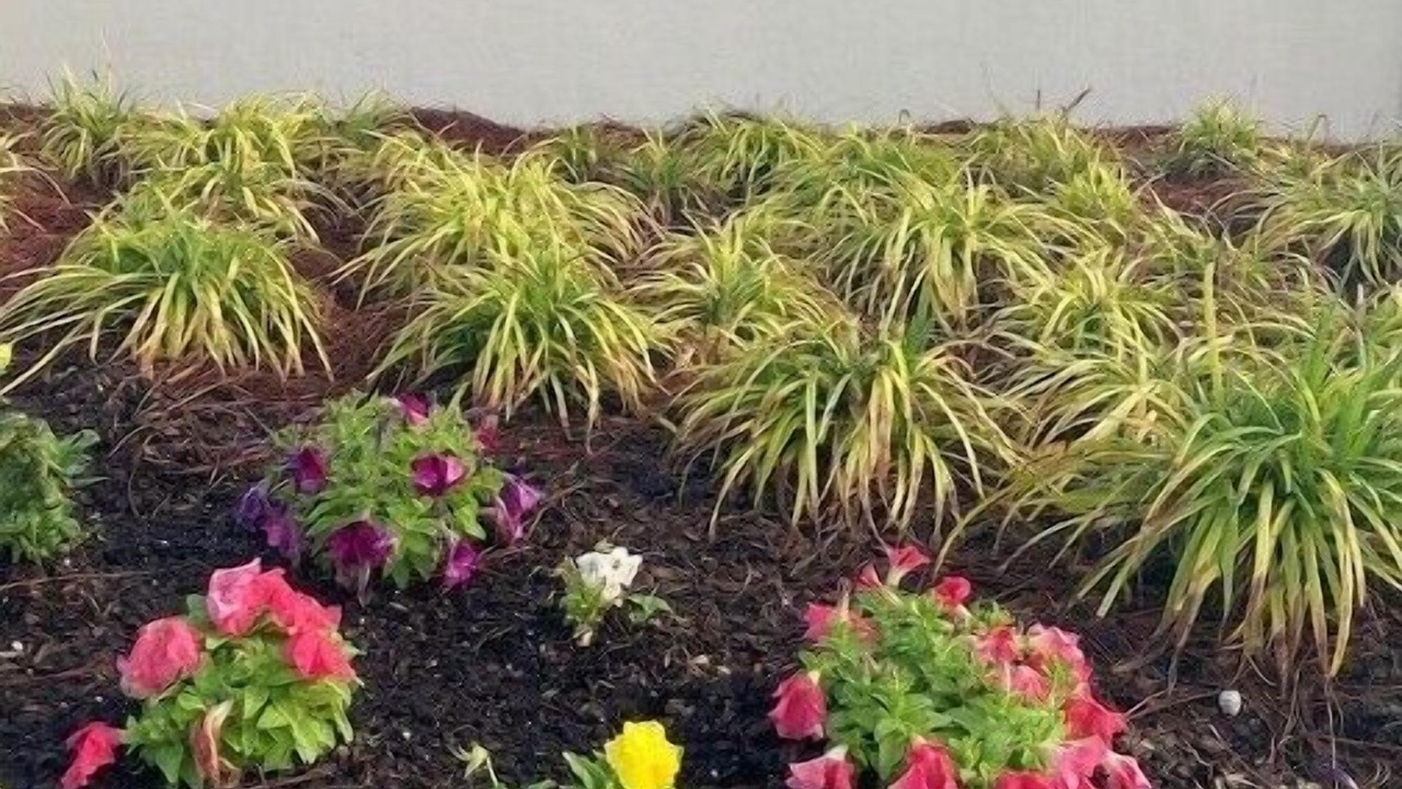 Photo of Outdoor in Leesburg