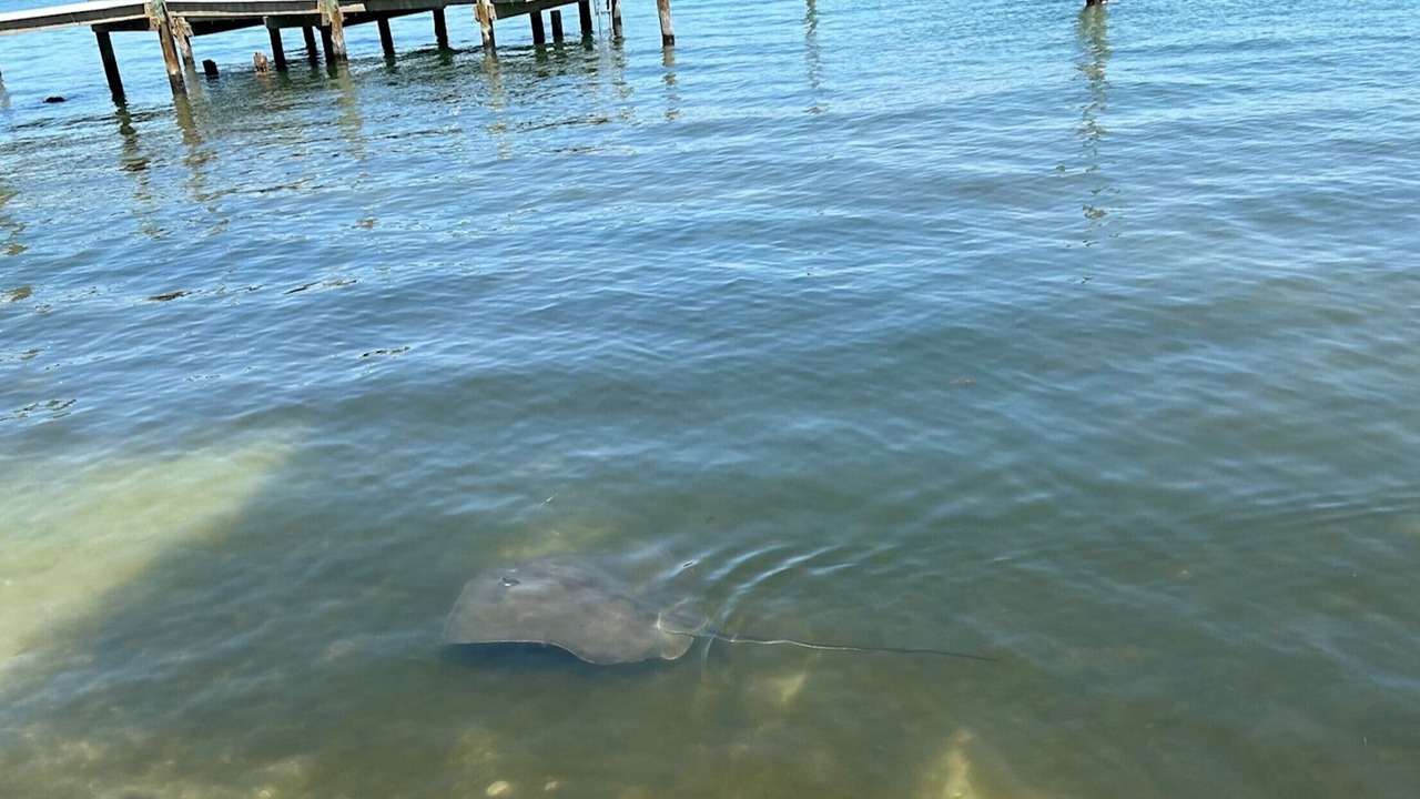 Photo of Others in Bradenton Beach