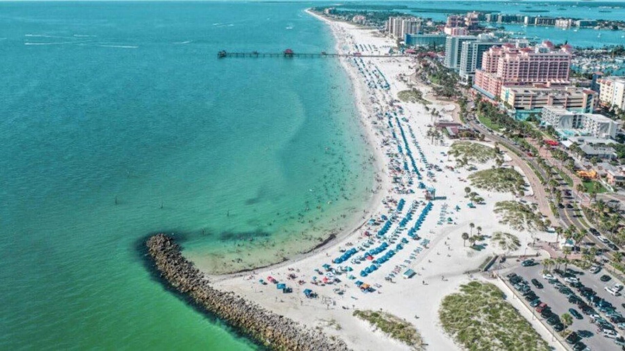 Photo of Others in Clearwater