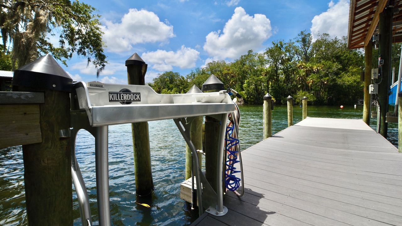 Photo of Others in Homosassa