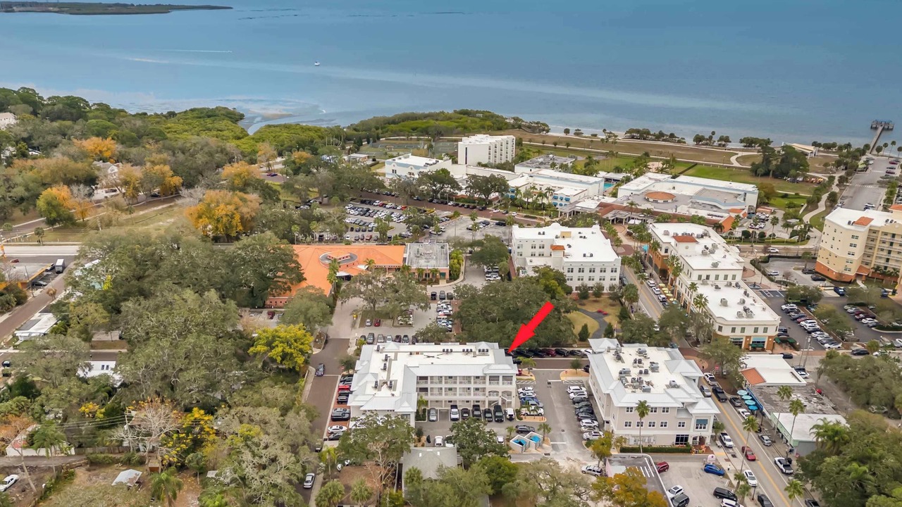 Photo of Others in Safety Harbor