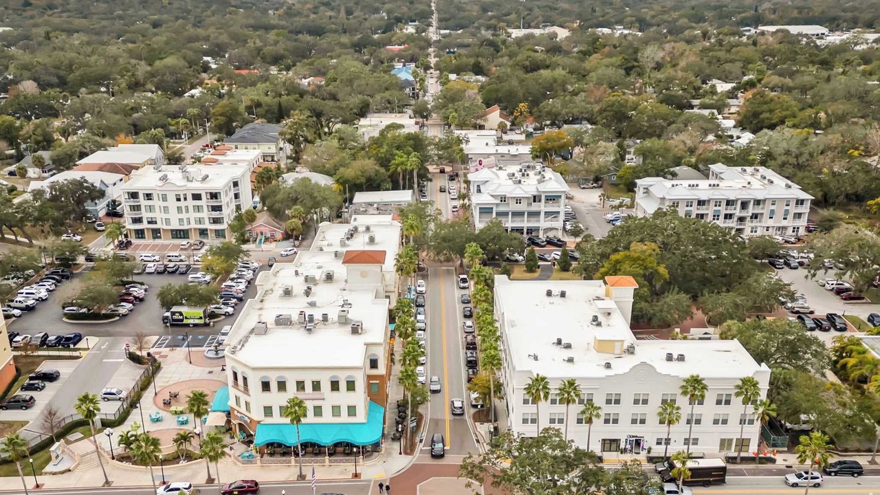 Photo of Others in Safety Harbor