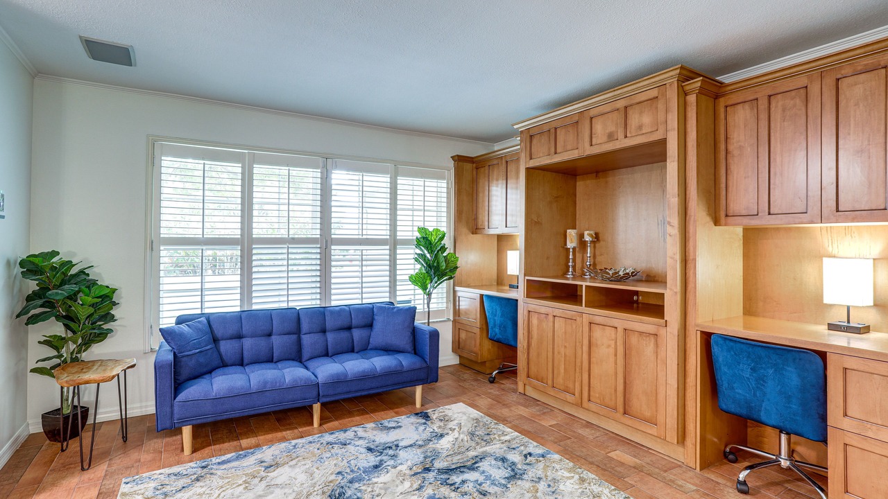 Photo of Livingroom in Safety Harbor