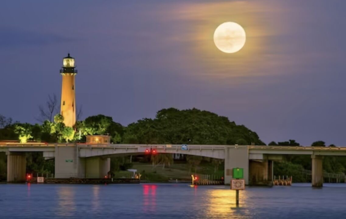 Photo of Others in Town Center