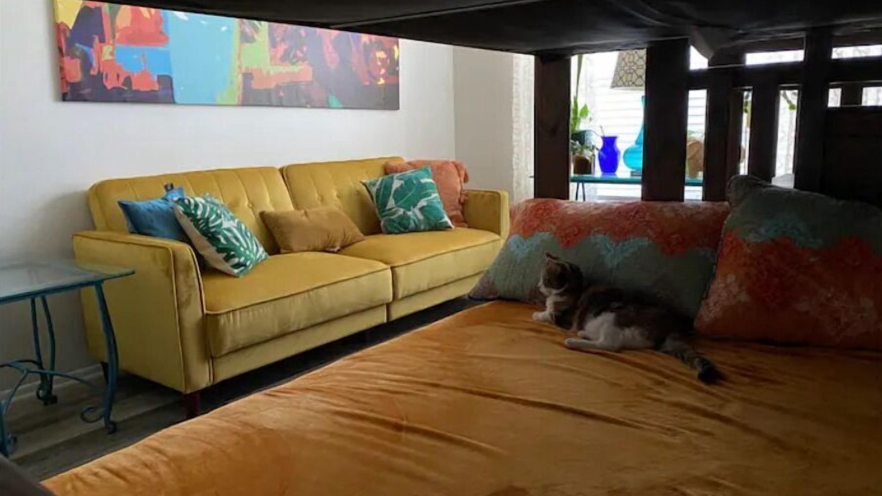 Photo of Livingroom in Palm Harbor