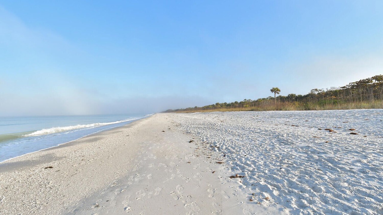 Photo of Others in Pelican Bay