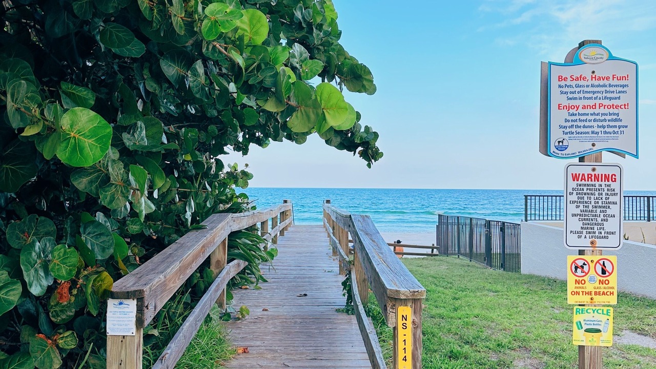 Photo of Outdoor in New Smyrna Beach