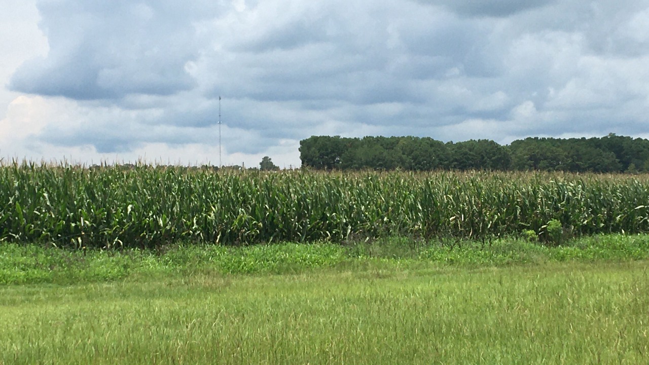Photo of Others in Brooks County
