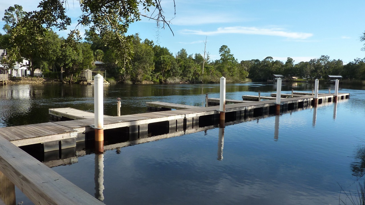 Photo of Others in Steinhatchee