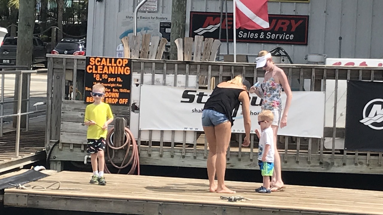 Photo of Outdoor in Steinhatchee