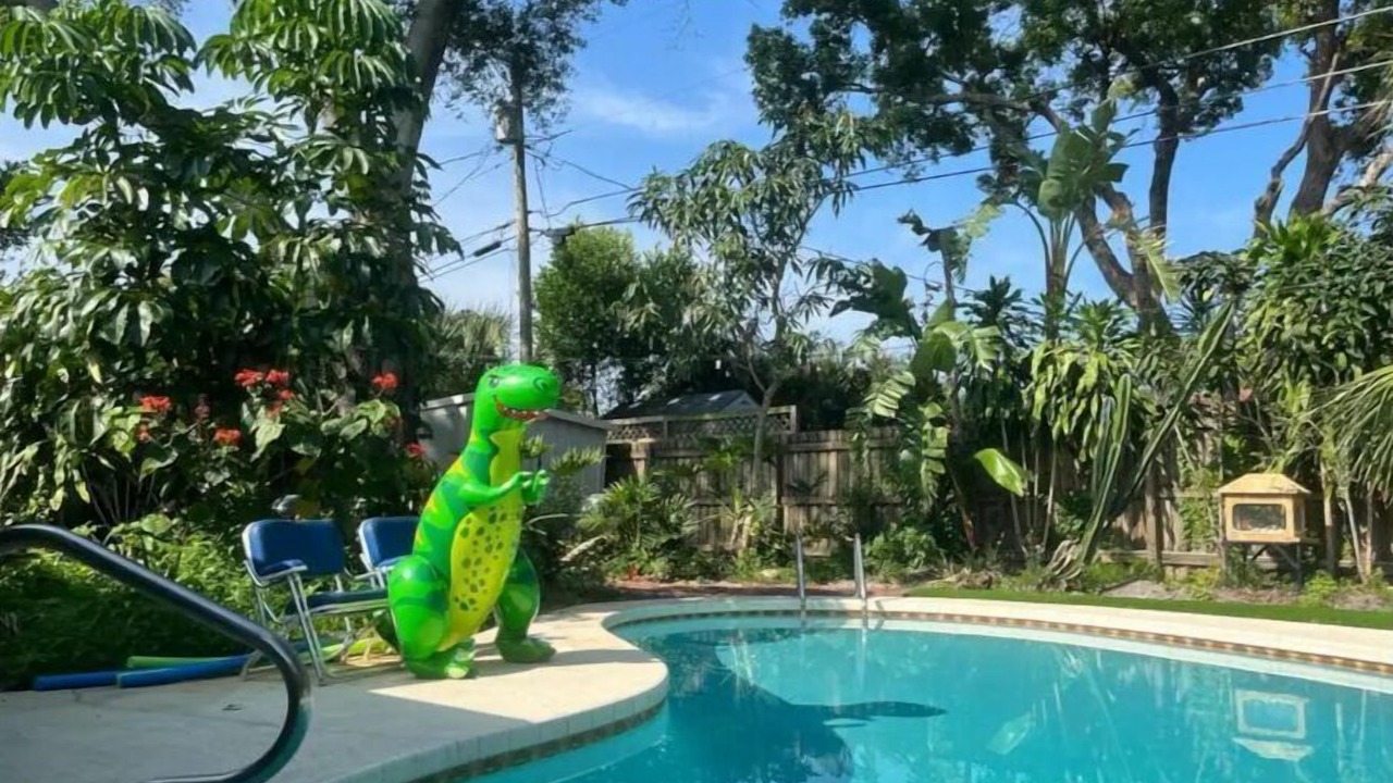 Photo of Outdoor in Clearwater