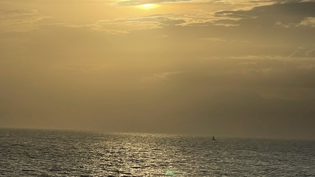 Photo of Others in Daytona Beach Shores