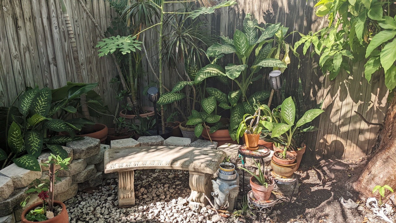 Photo of Outdoor in Uptown - Upper Duval