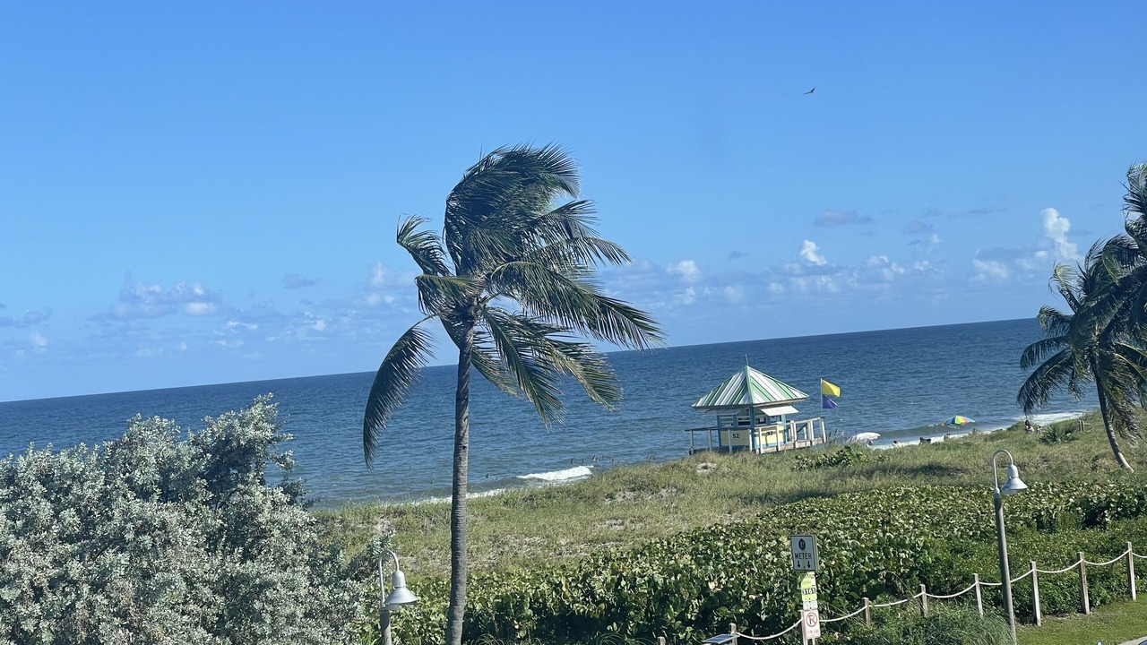 Photo of Others in Delray Beach