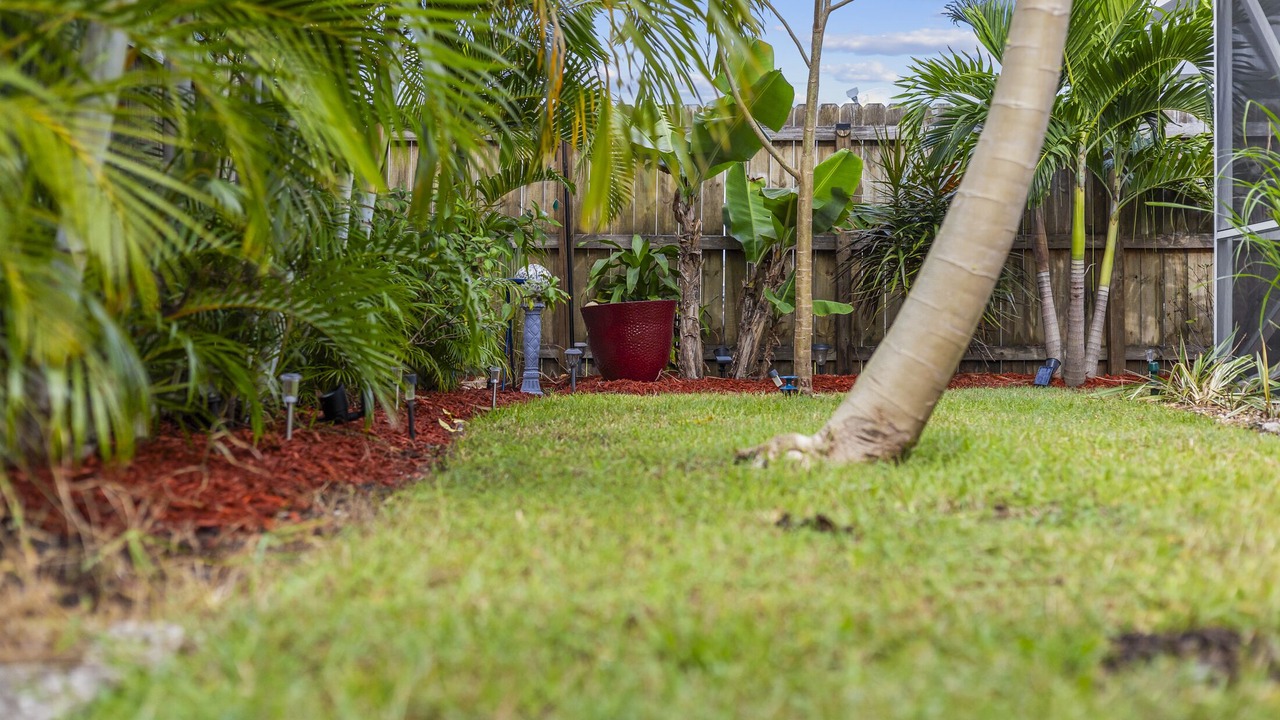 Photo of Outdoor in Tropic