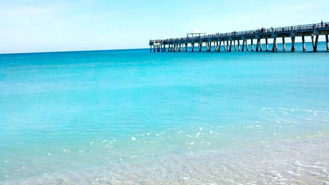 Photo of Others in Florida North Atlantic Coast