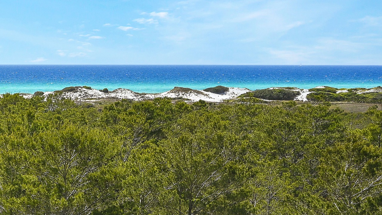 Photo of Others in Dune Allen Beach