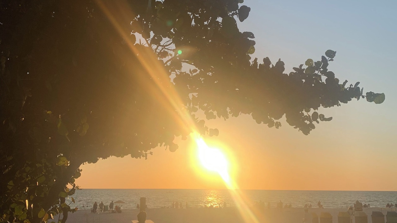 Photo of Others in Marco Island