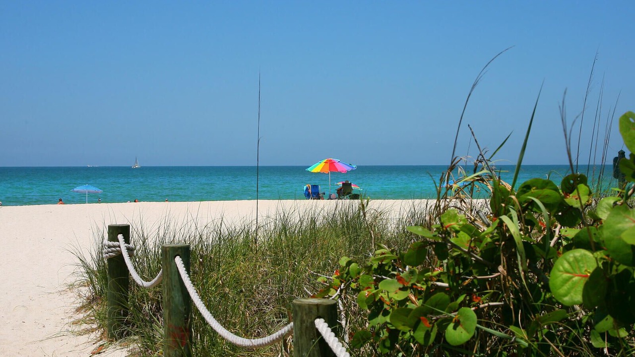 Photo of Others in Whitney Beach