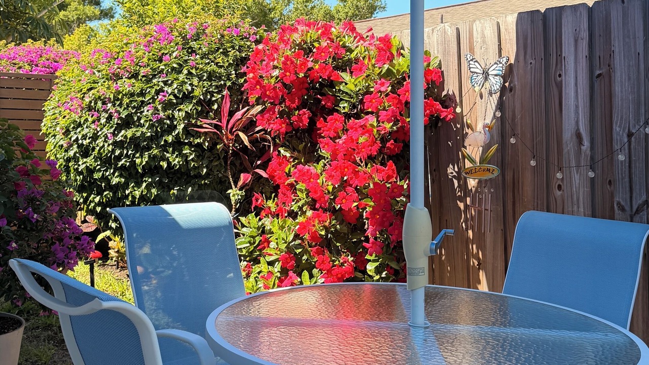 Photo of Outdoor in Vamo