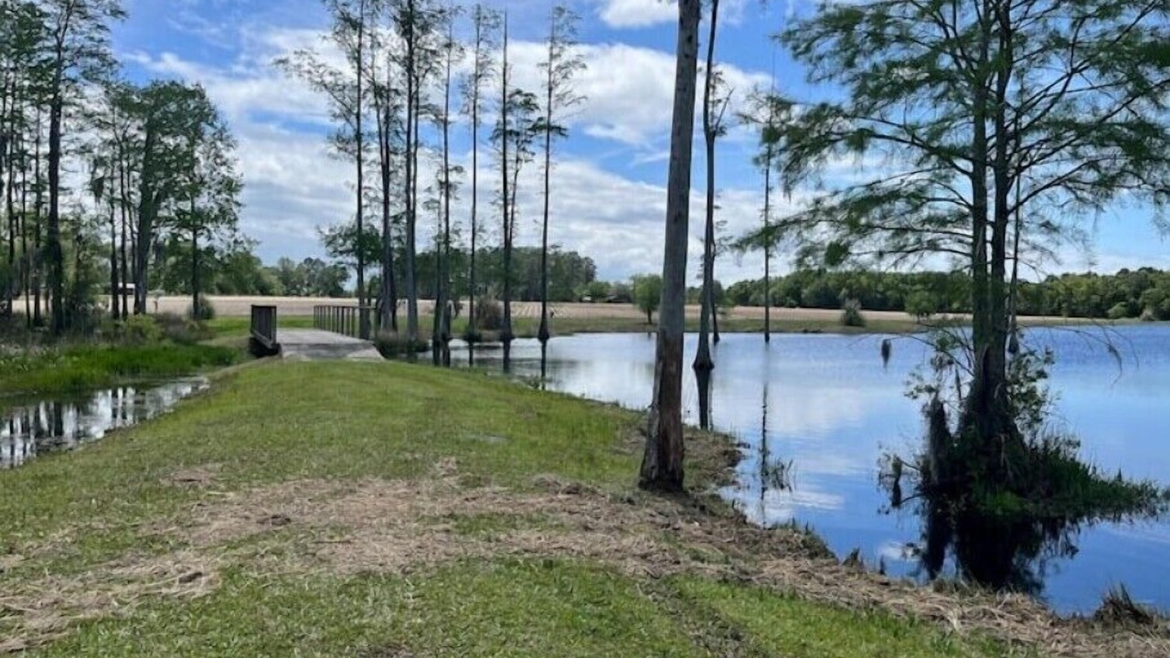 Photo of Outdoor in Blackshear