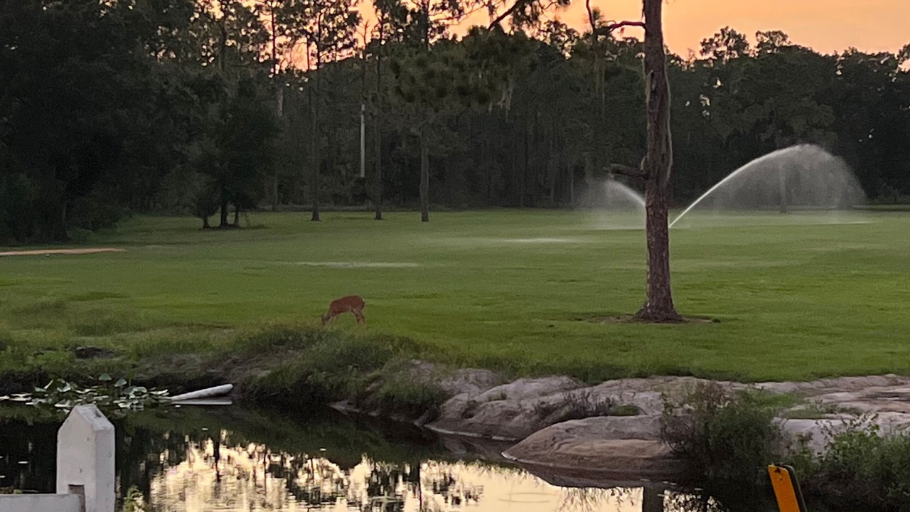 Photo of Outdoor in Highland
