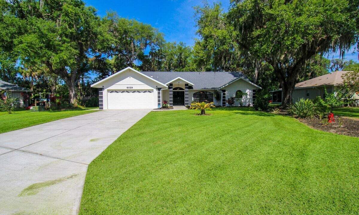 Photo of Outdoor in Palmetto