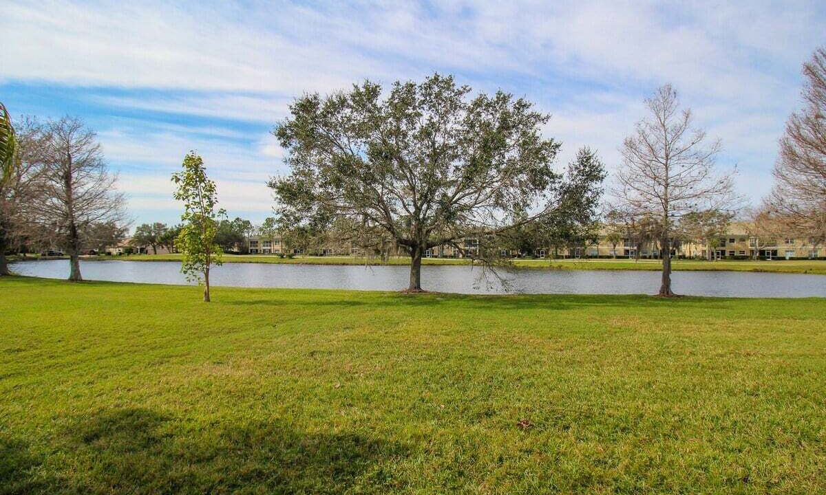 Photo of Others in Braden River