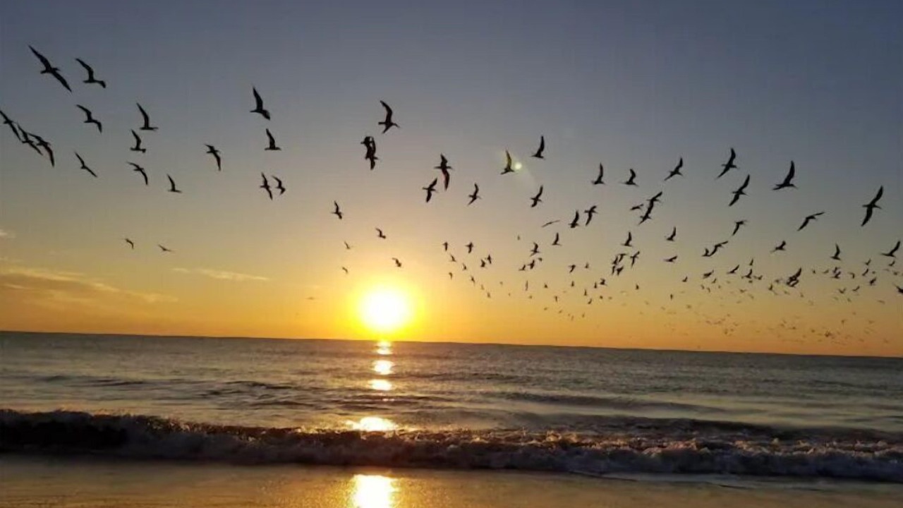 Photo of Others in Cocoa Isles