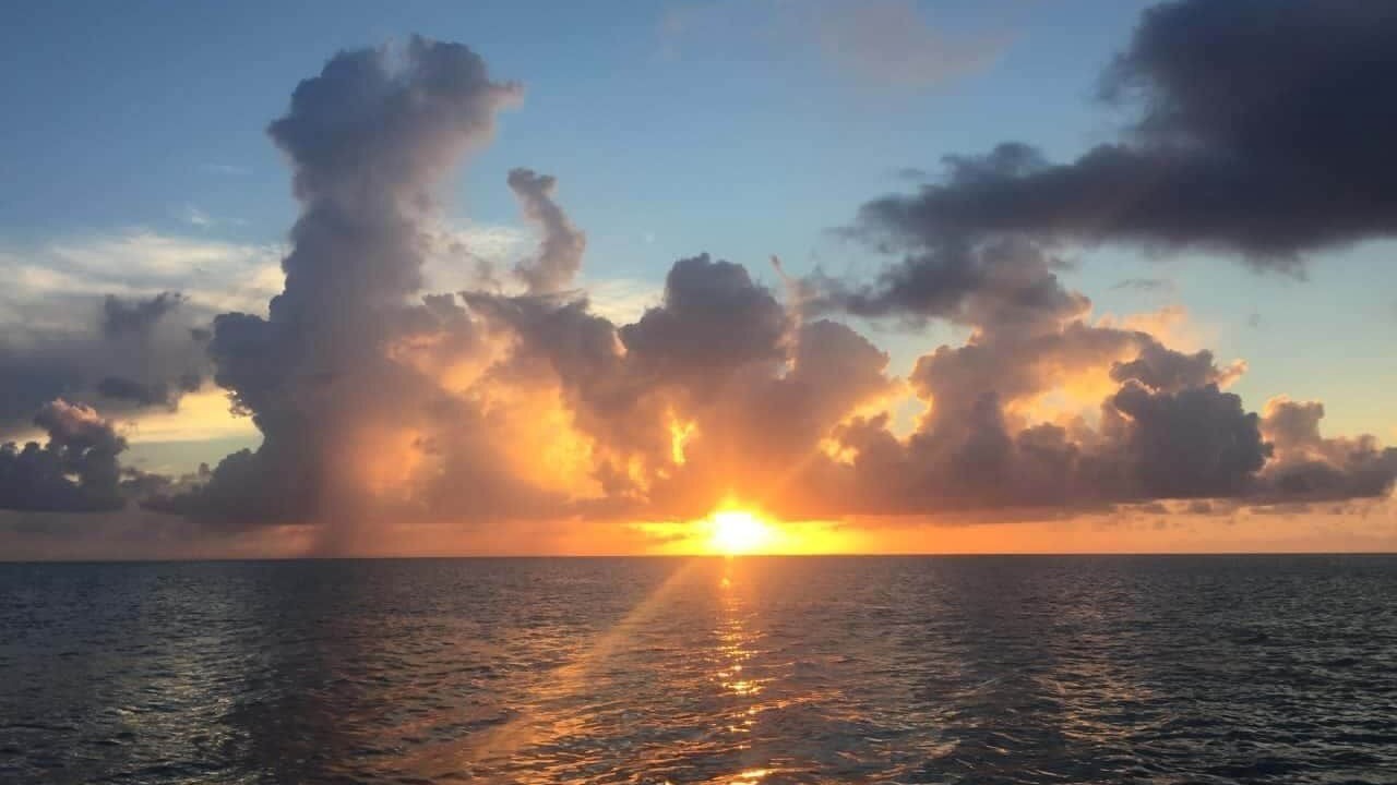 Photo of Others in Fort Myers River District